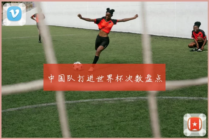 中国队打进世界杯次数盘点