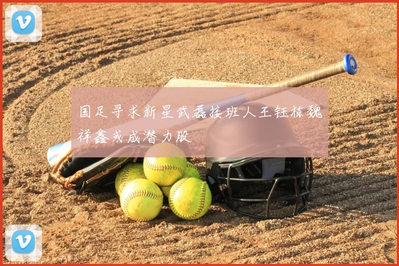 国足寻求新星武磊接班人王钰栋魏祥鑫或成潜力股