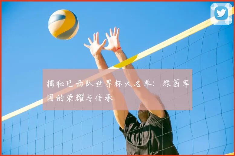 揭秘巴西队世界杯大名单：绿茵军团的荣耀与传承