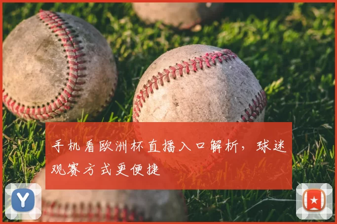 手机看欧洲杯直播入口解析，球迷观赛方式更便捷