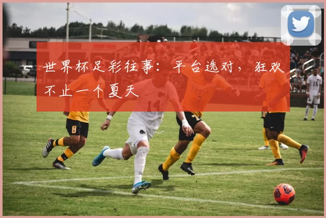 世界杯足彩往事：平台选对，狂欢不止一个夏天
