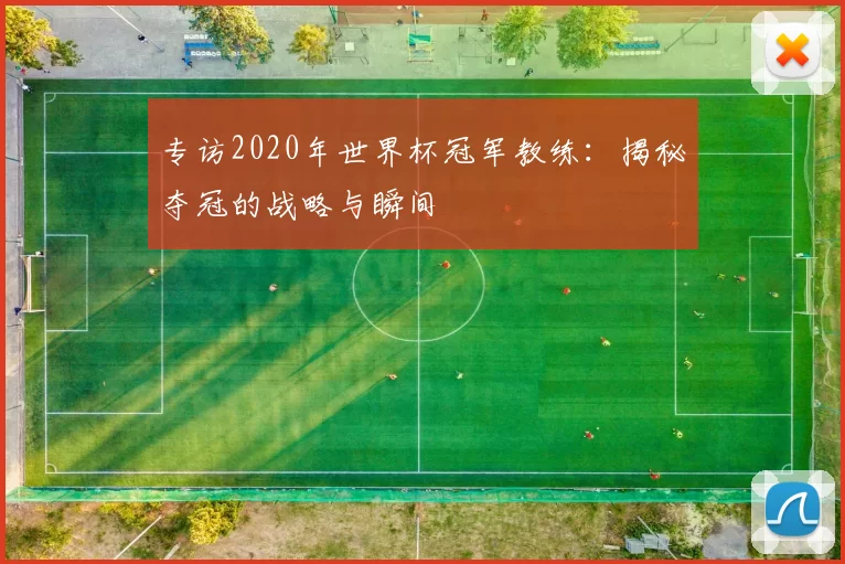 专访2020年世界杯冠军教练:揭秘夺冠的战略与瞬间