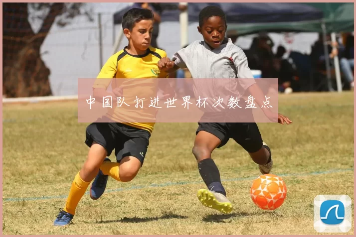 中国队打进世界杯次数盘点