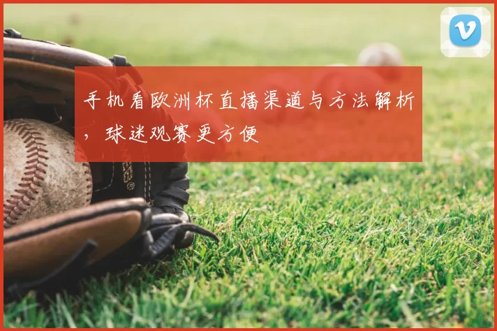 手机看欧洲杯直播渠道与方法解析，球迷观赛更方便