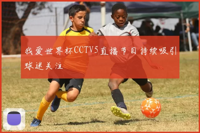 我爱世界杯CCTV5直播节目持续吸引球迷关注