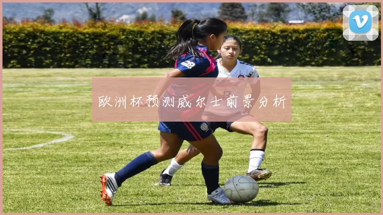 欧洲杯预测威尔士前景分析
