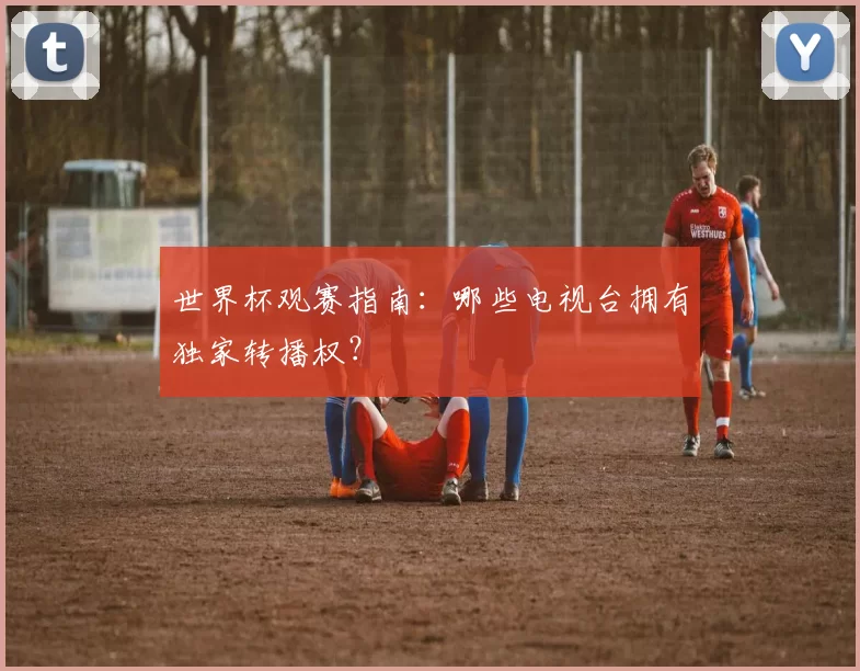 世界杯观赛指南：哪些电视台拥有独家转播权？