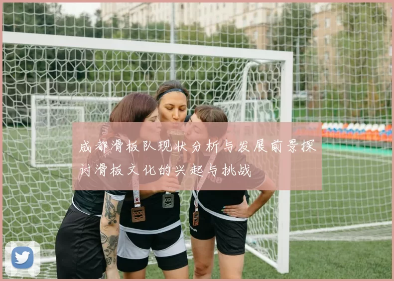 成都滑板队现状分析与发展前景探讨滑板文化的兴起与挑战
