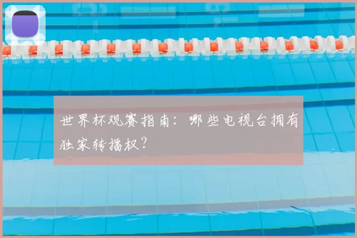 世界杯观赛指南：哪些电视台拥有独家转播权？