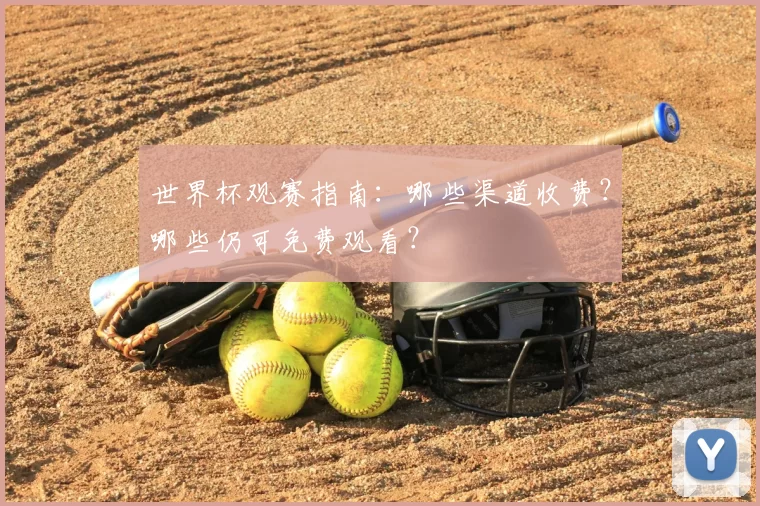 世界杯观赛指南：哪些渠道收费？哪些仍可免费观看？