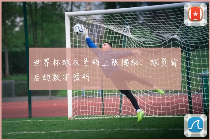 世界杯球衣号码上限揭秘：球员背后的数字密码