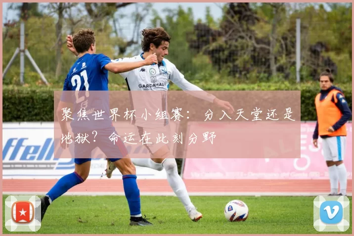 聚焦世界杯小组赛：分入天堂还是地狱？命运在此刻分野