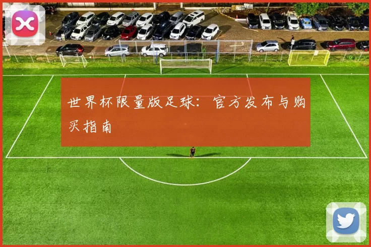 世界杯限量版足球：官方发布与购买指南