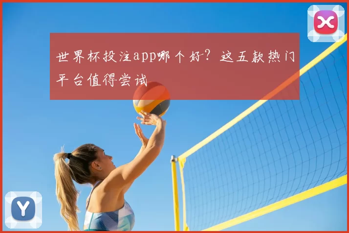 世界杯投注app哪个好？这五款热门平台值得尝试