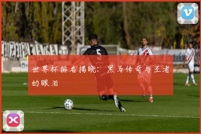 世界杯排名揭晓：黑马传奇与王者的眼泪