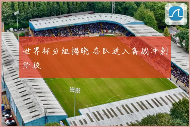世界杯分组揭晓 各队进入备战冲刺阶段