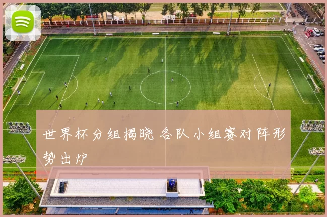世界杯分组揭晓 各队小组赛对阵形势出炉