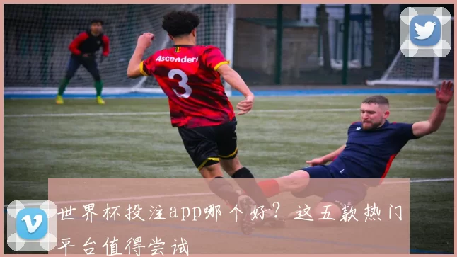 世界杯投注app哪个好？这五款热门平台值得尝试