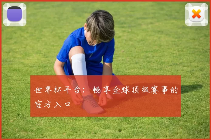 世界杯平台：畅享全球顶级赛事的官方入口