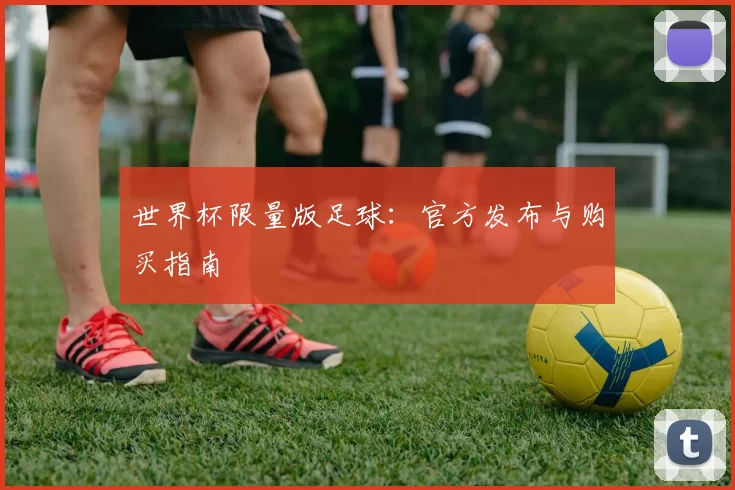 世界杯限量版足球：官方发布与购买指南