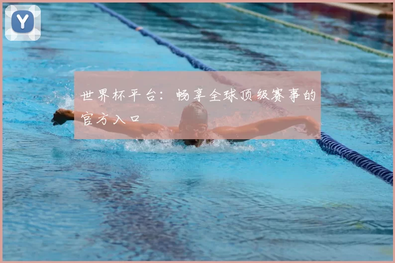 世界杯平台：畅享全球顶级赛事的官方入口