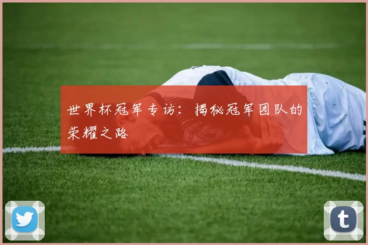 世界杯冠军专访：揭秘冠军团队的荣耀之路